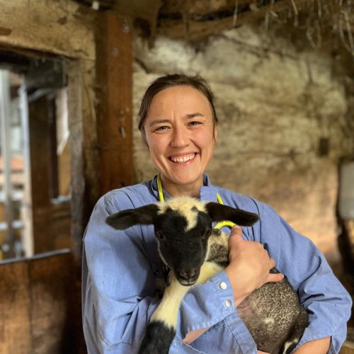 IMG-20251115-WA0002 IMG-20251115-WA0002